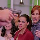 AMQLichita_289329~31.jpg